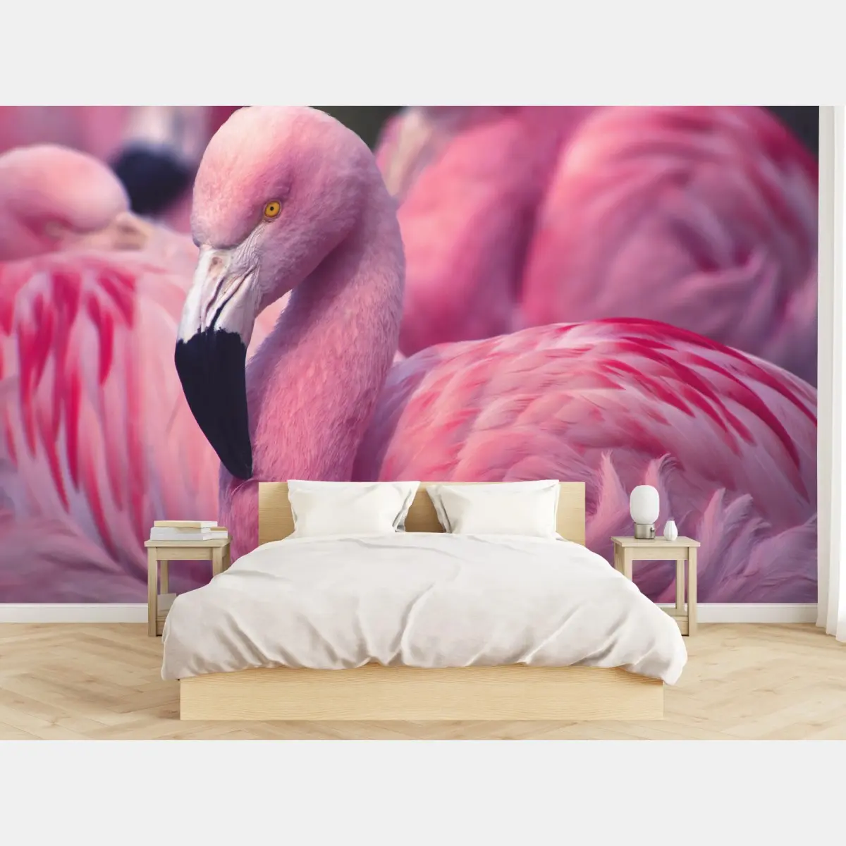 Fototapete rosa flamingo-porträt – Pixers®