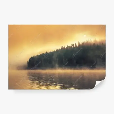 Fototapete nebeliger goldener sonnenaufgang über waldsee – Pixers®