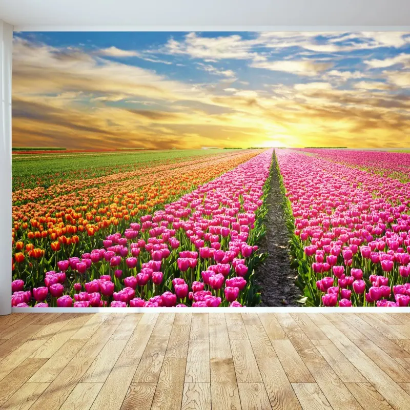 Fototapete sonnenaufgang über tulpenfeldern in den Niederlanden