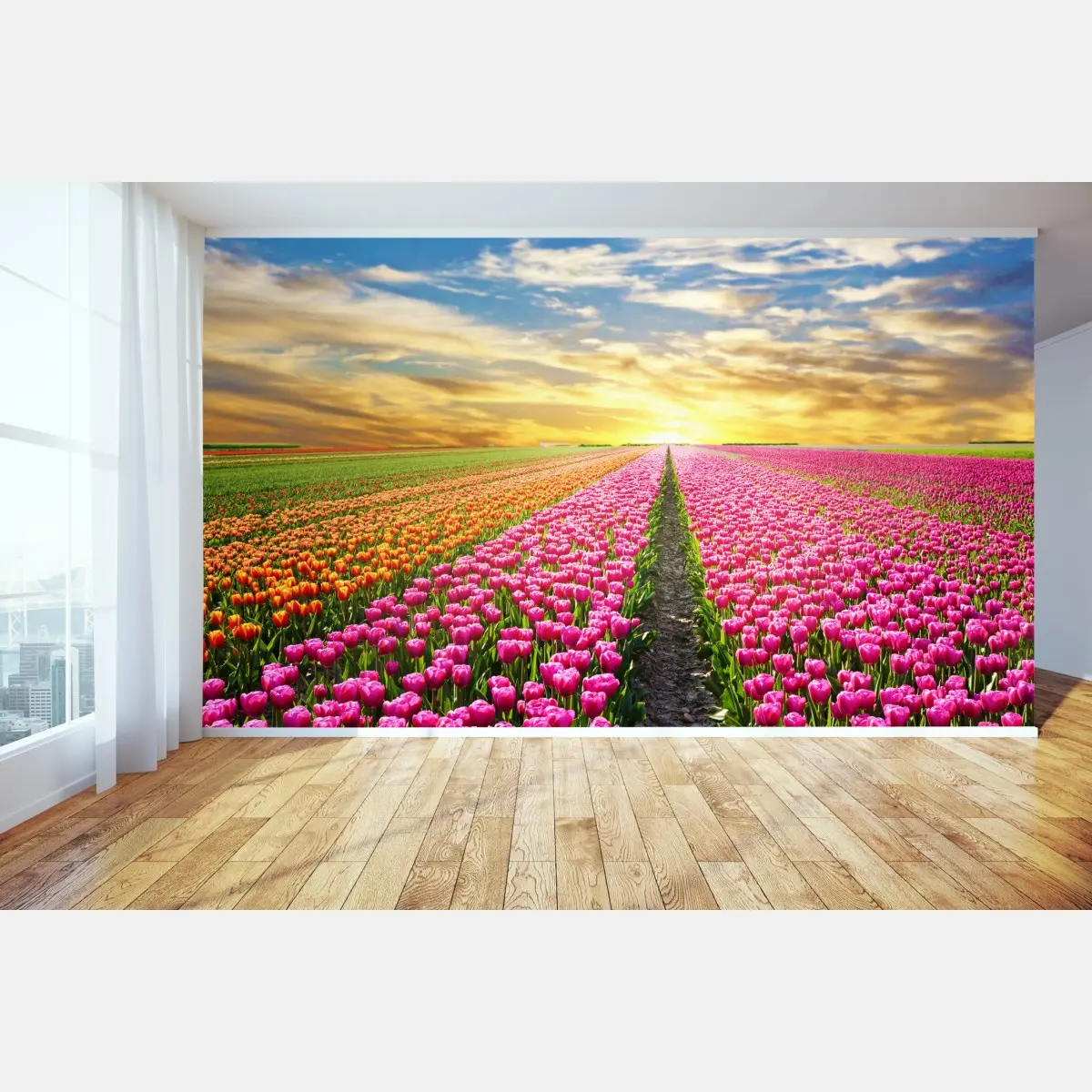 Fototapete sonnenaufgang über tulpenfeldern in den Niederlanden – Pixers®