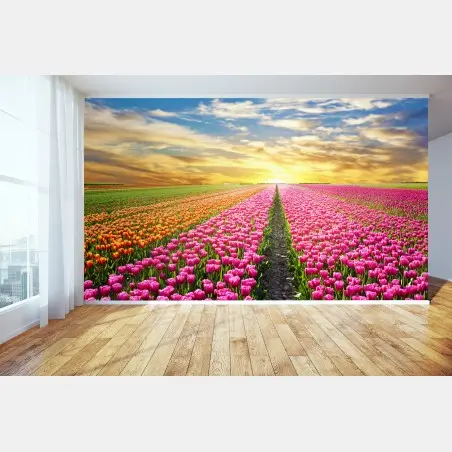 Fototapete sonnenaufgang über tulpenfeldern in den Niederlanden – Pixers®