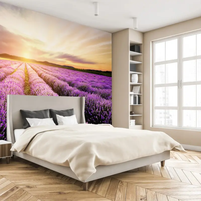 Fototapete sonnenaufgang über lavendelfeldern