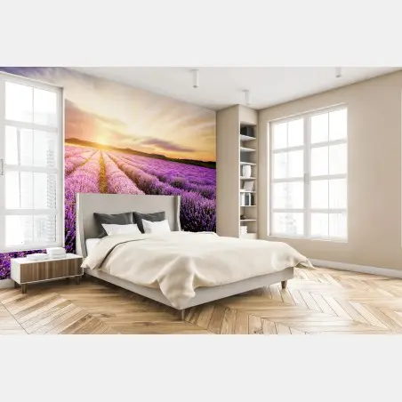 Fototapete sonnenaufgang über lavendelfeldern – Pixers®