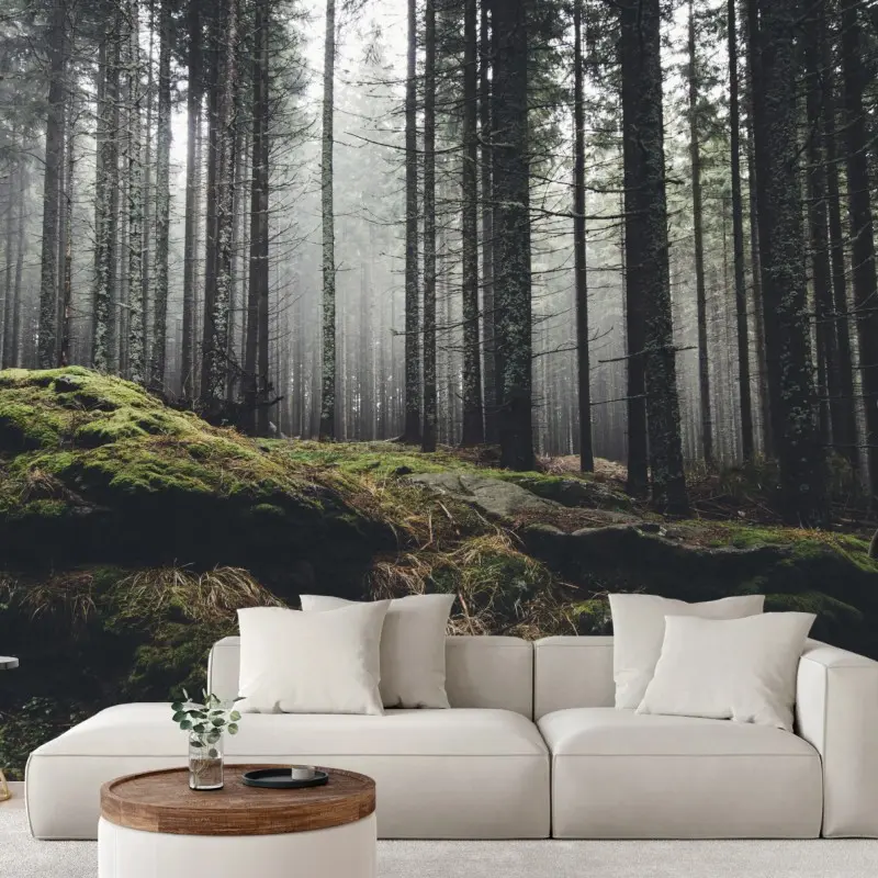 Fototapete nebliger moosbedeckter wald
