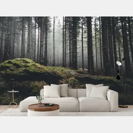 Fototapete nebliger moosbedeckter wald – Pixers®