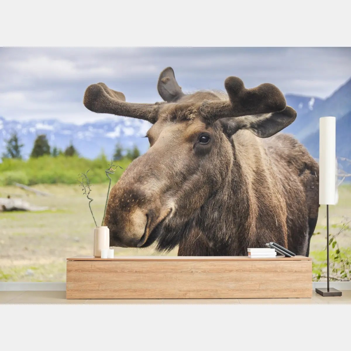 Fototapete majestätisches elchporträt in freier natur – Pixers®