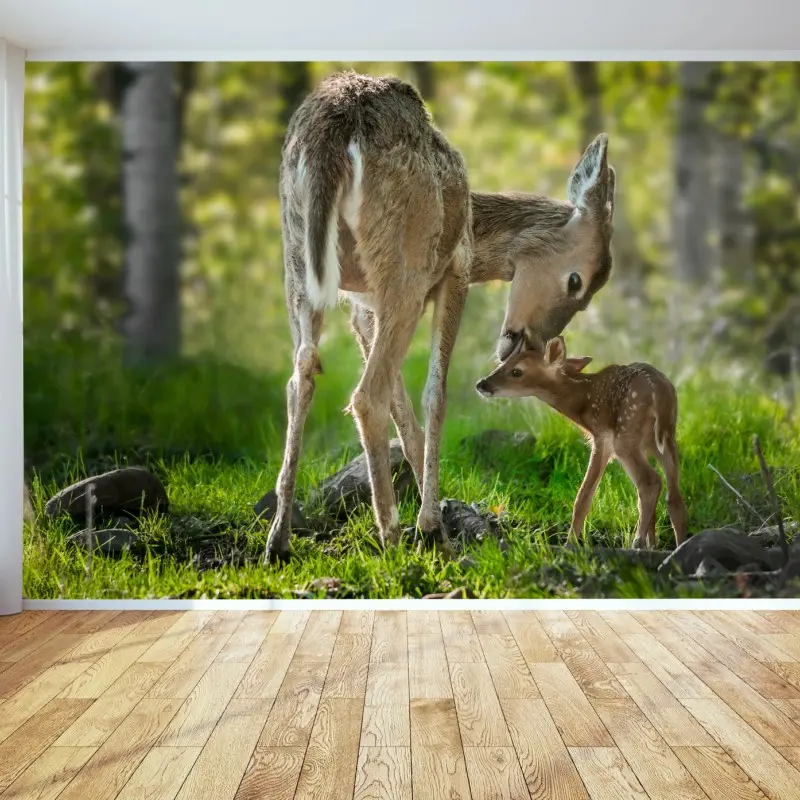 Fototapete hirsch und kitz im sonnendurchfluteten wald