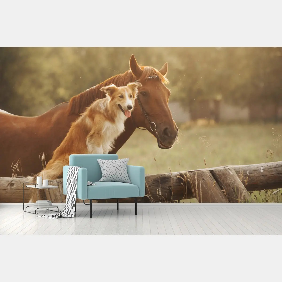 Fototapete sonnige gefährten: hund und pferd – Pixers®