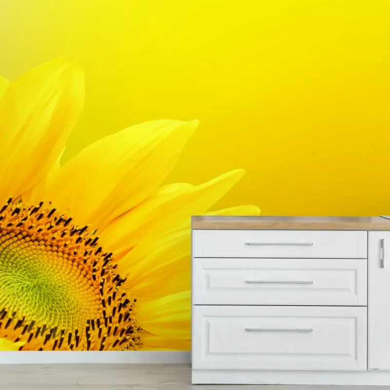 Fototapete leuchtende sonnenblume nahaufnahme auf gelbem hintergrund