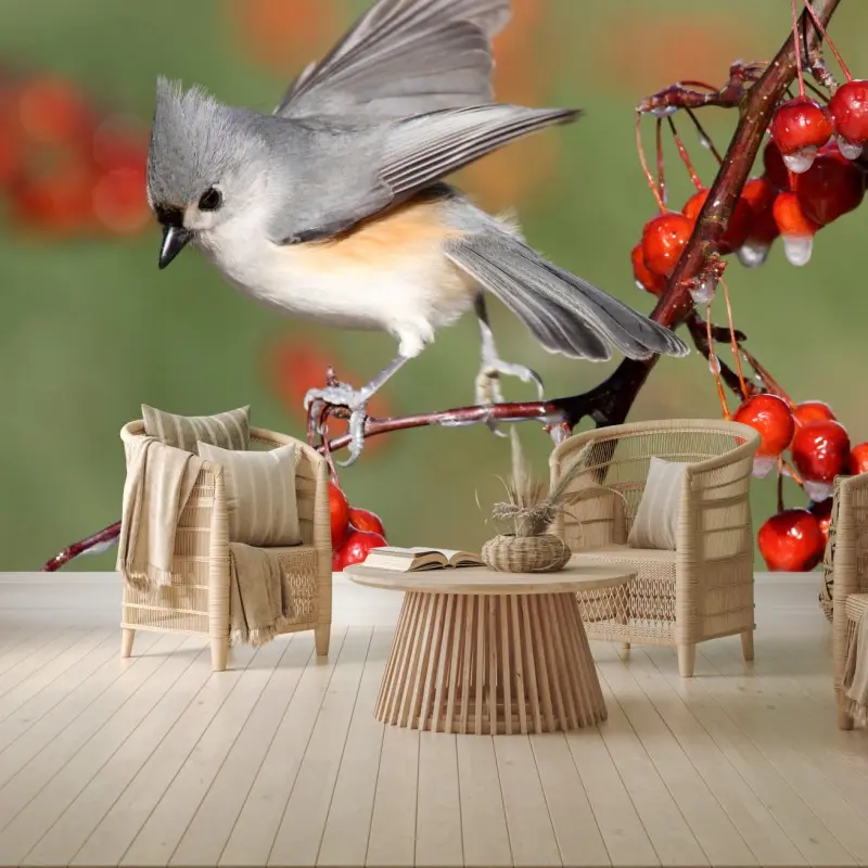 Fototapete grauer vogel auf roten beeren