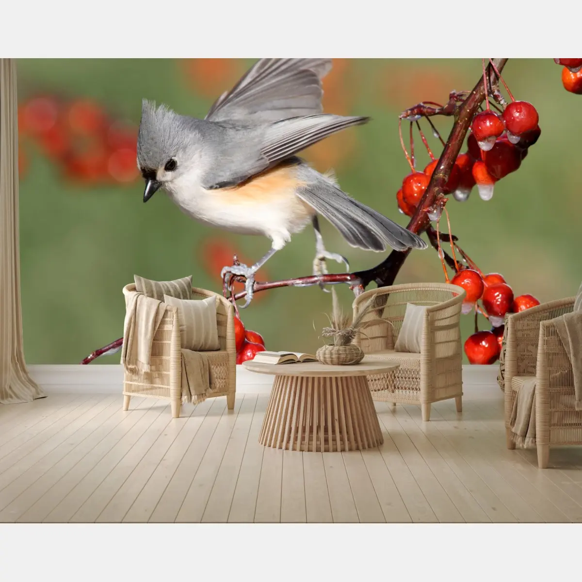 Fototapete grauer vogel auf roten beeren – Pixers®