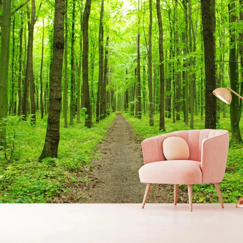 Fototapete ruhiger grüner waldweg