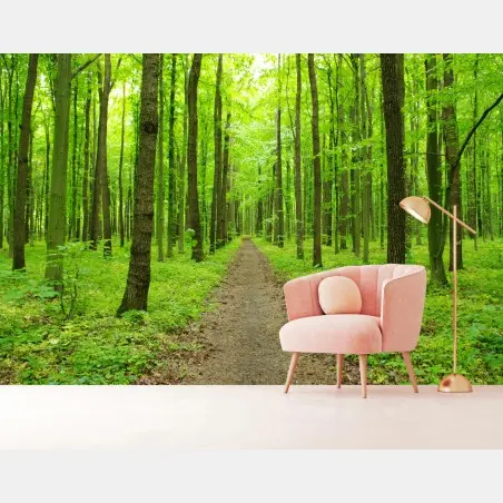 Fototapete ruhiger grüner waldweg – Pixers®