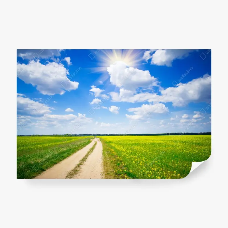 Fototapete gelbes rapsfeld unter blauem himmel