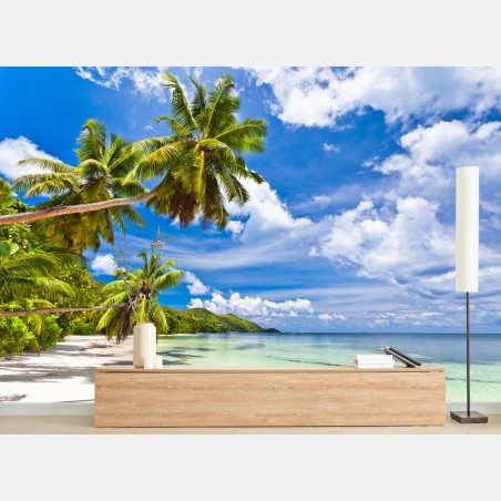 Fototapete tropischer strand mit palmen – Pixers®
