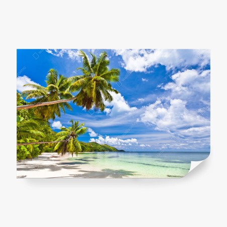 Fototapete tropischer strand mit palmen – Pixers®