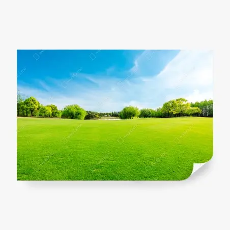 Fototapete friedliche grüne wiese unter blauem himmel – Pixers®