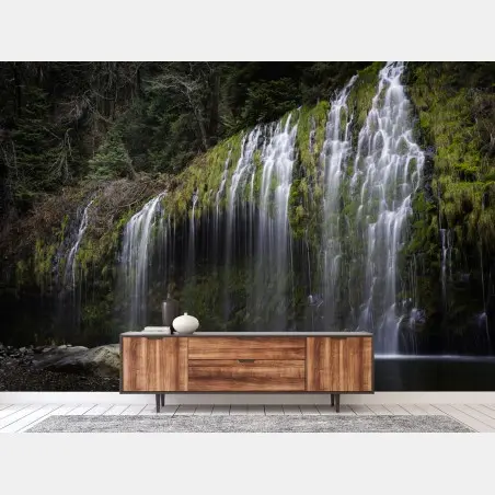 Fototapete moosiger wasserfall im wald – Pixers®