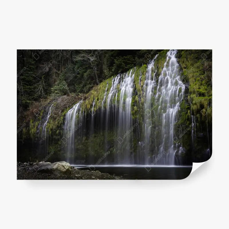 Fototapete moosiger wasserfall im wald