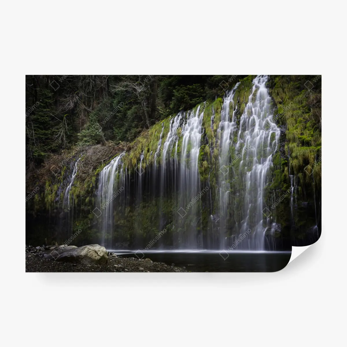 Fototapete moosiger wasserfall im wald – Pixers®