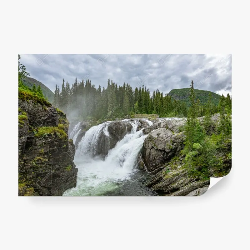 Fototapete nebliger wasserfall im dichten kiefernwald