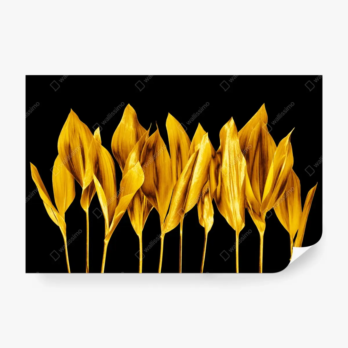 Fototapete goldene blätter auf schwarzem hintergrund – Pixers®