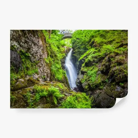Fototapete wasserfall in moosiger schlucht mit steinbrücke – Pixers®