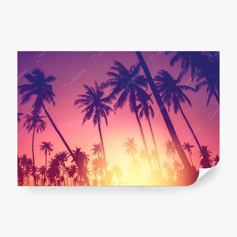 Fototapete tropischer sonnenuntergang mit palmensilhouette
