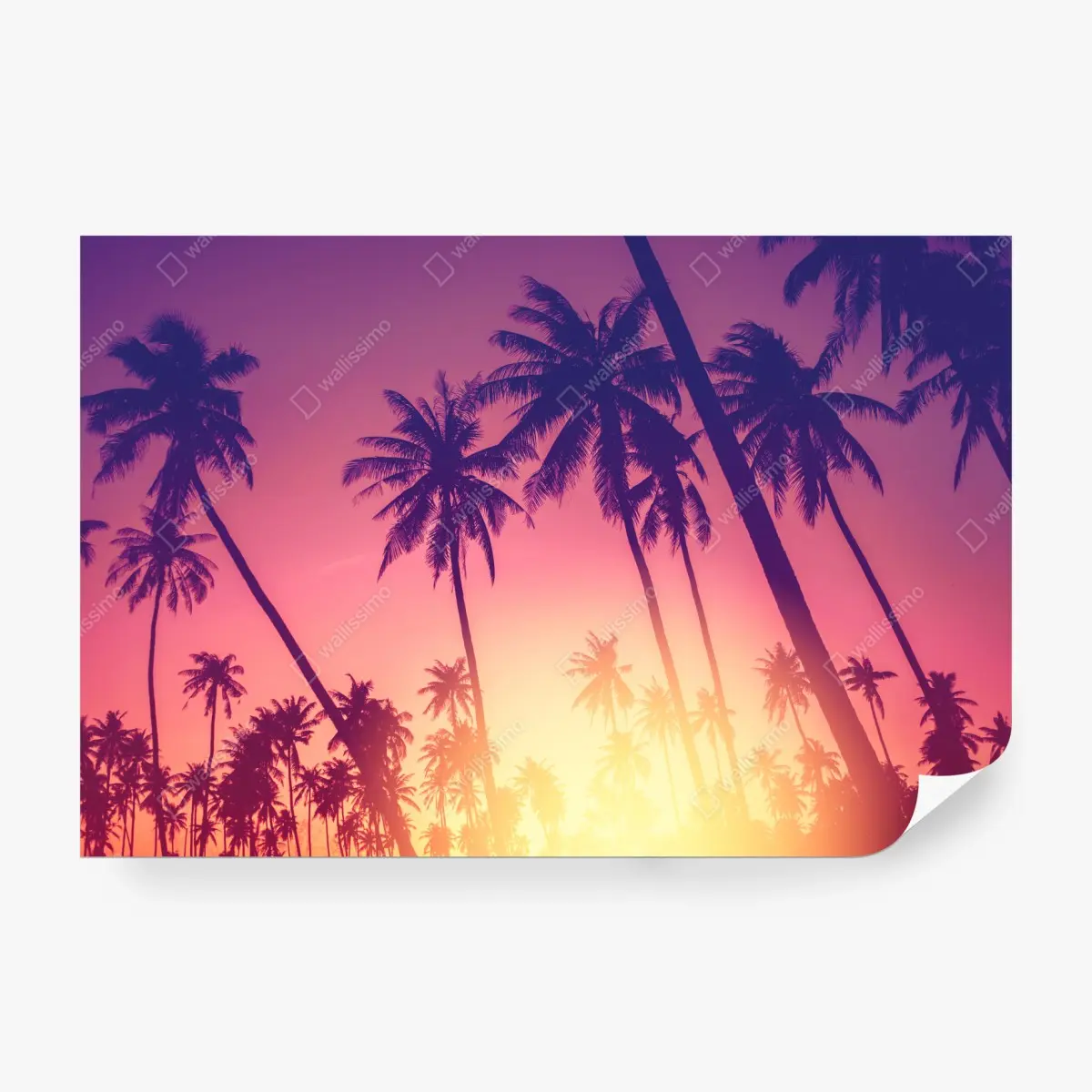 Fototapete tropischer sonnenuntergang mit palmensilhouette – Pixers®