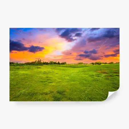 Fototapete sonnenuntergang über grüner wiese – Pixers®