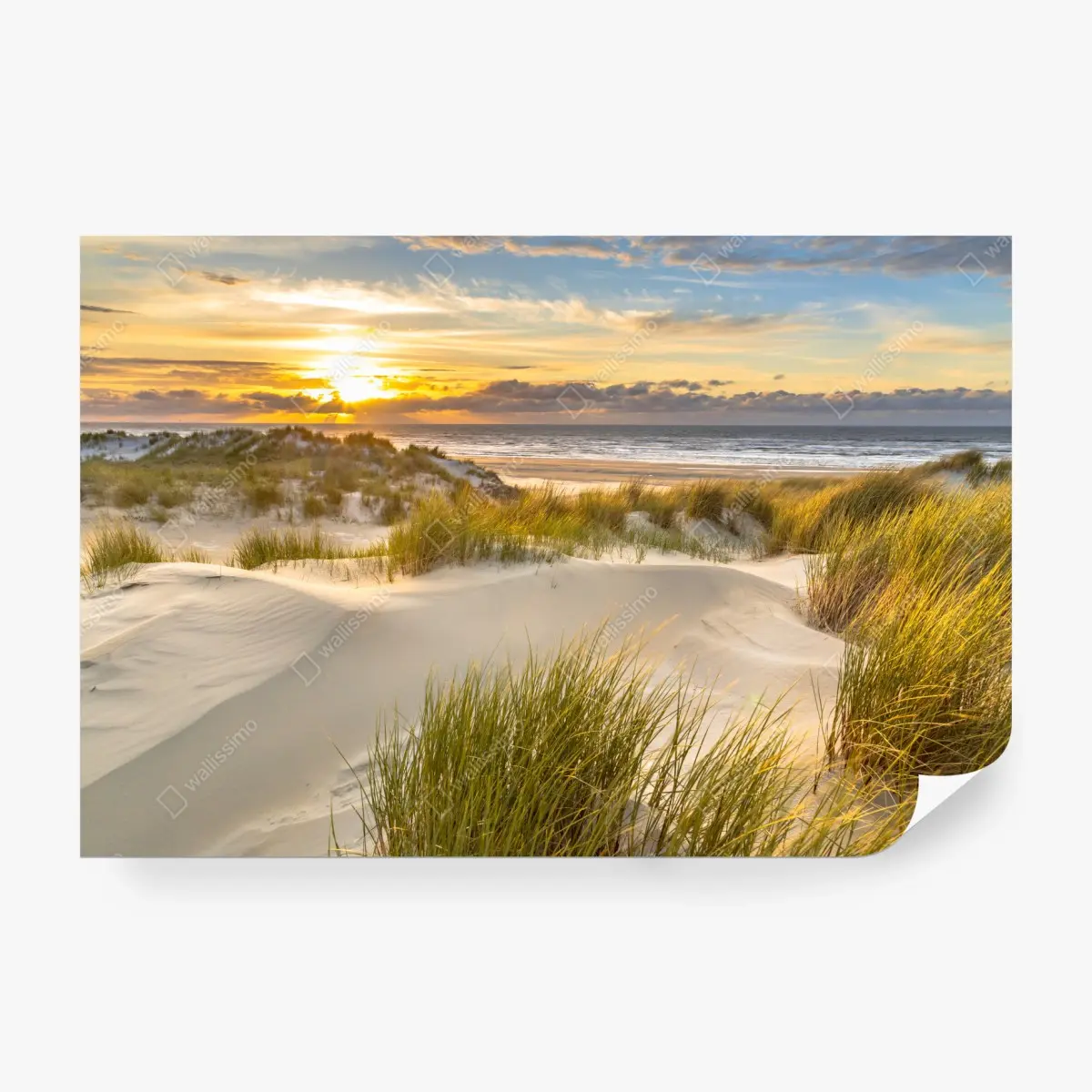 Fototapete sonnenuntergang über den dünen von Ameland – Pixers®