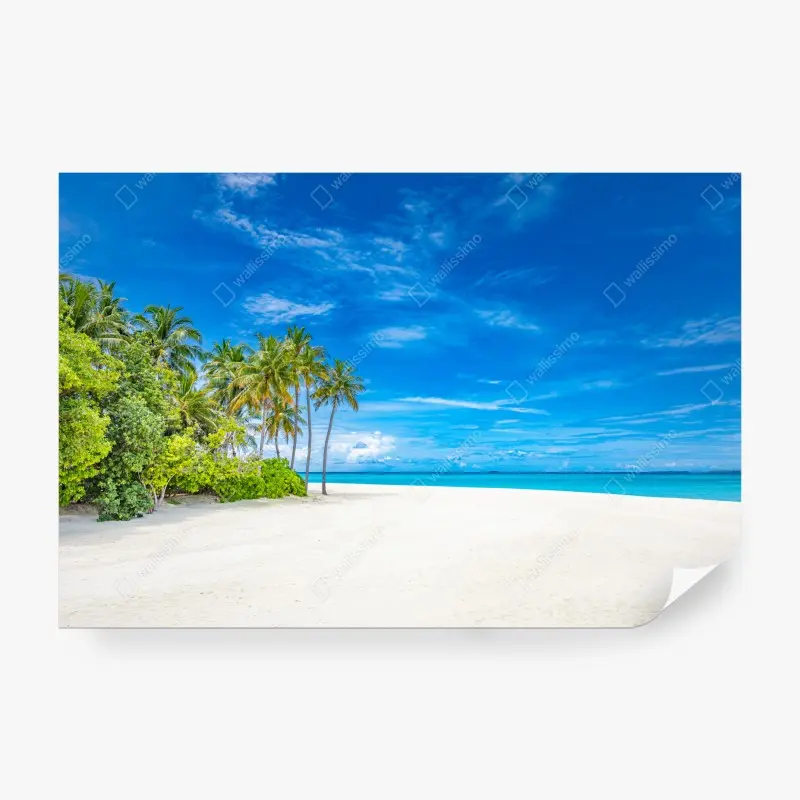 Fototapete tropischer strand mit palmen