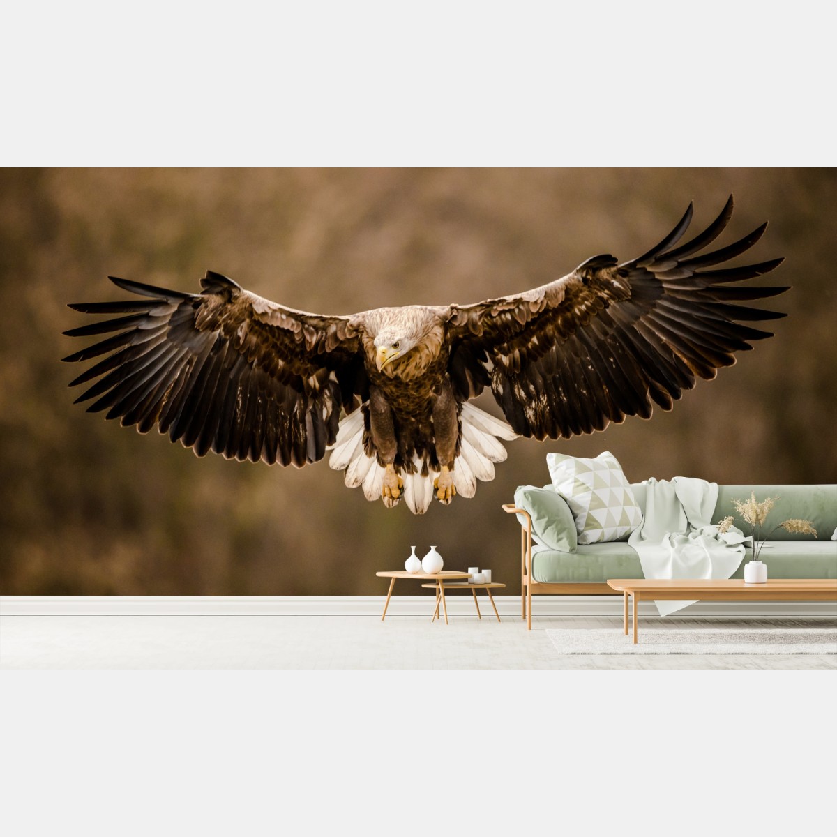 Fototapete majestätischer adler im flug – Pixers®