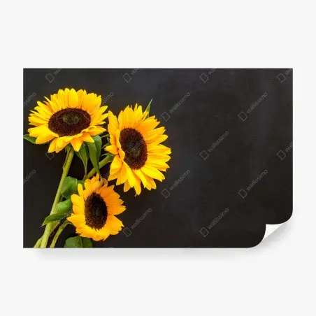 Fototapete sonnenblumenstrauß auf schwarzem hintergrund – Pixers®