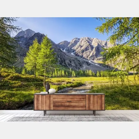 Fototapete alpine wiese mit bergbach – Pixers®
