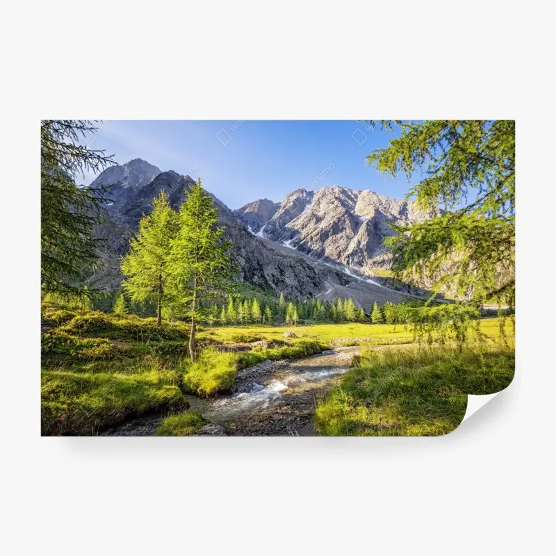 Fototapete alpine wiese mit bergbach