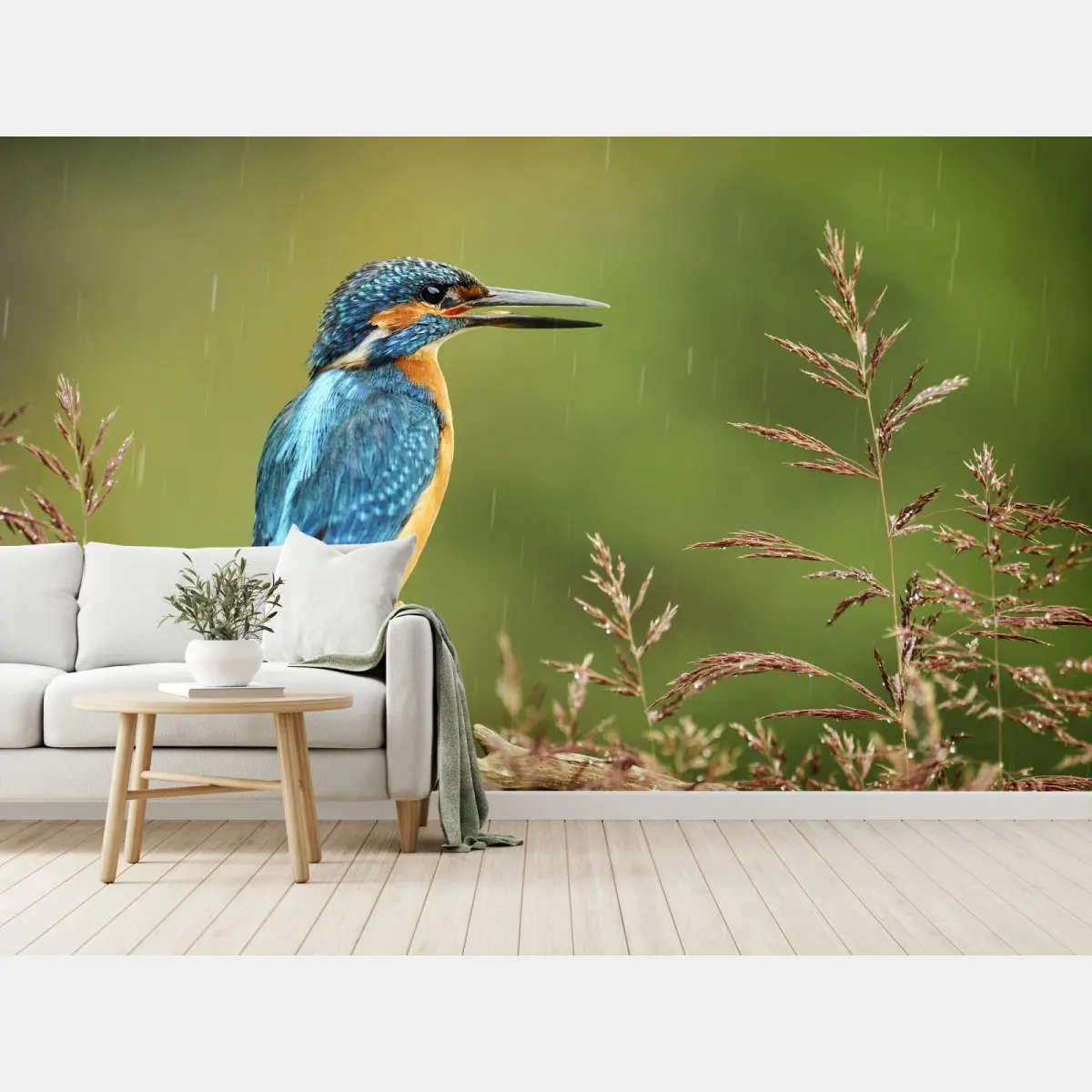 Fototapete lebhafter eisvogel im regen – Pixers®