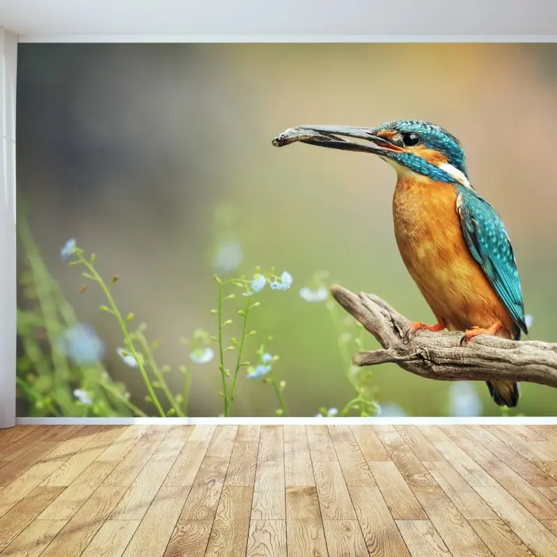 Fototapete eisvogel auf einem ast mit fisch