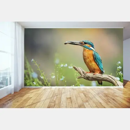 Fototapete eisvogel auf einem ast mit fisch – Pixers®