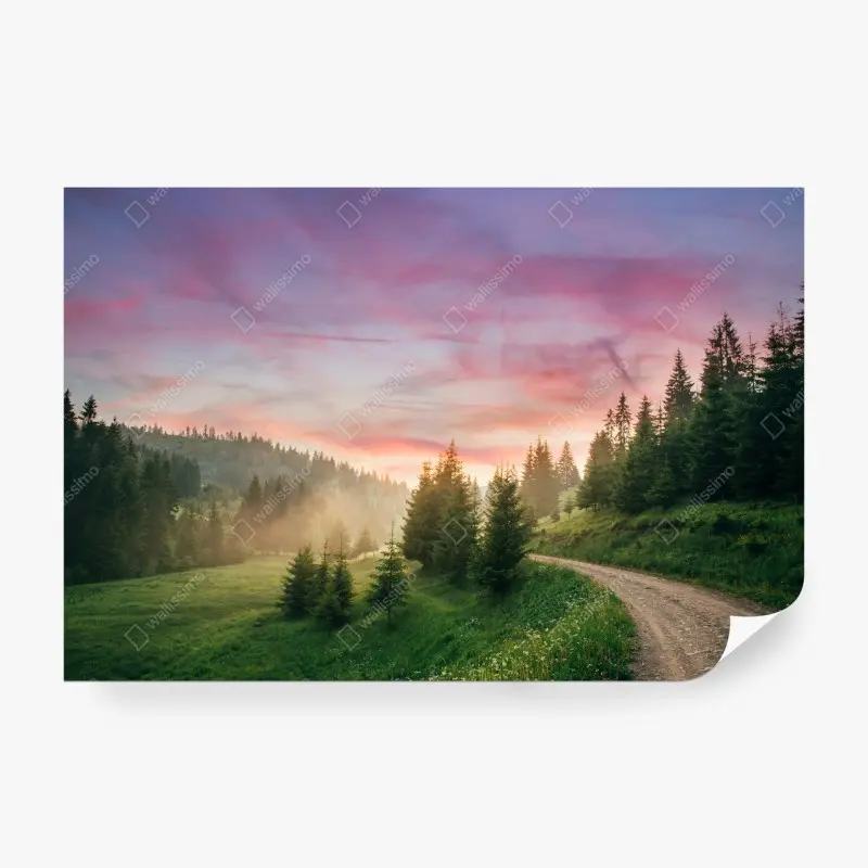 Fototapete nebliger sonnenuntergang im kiefernwald