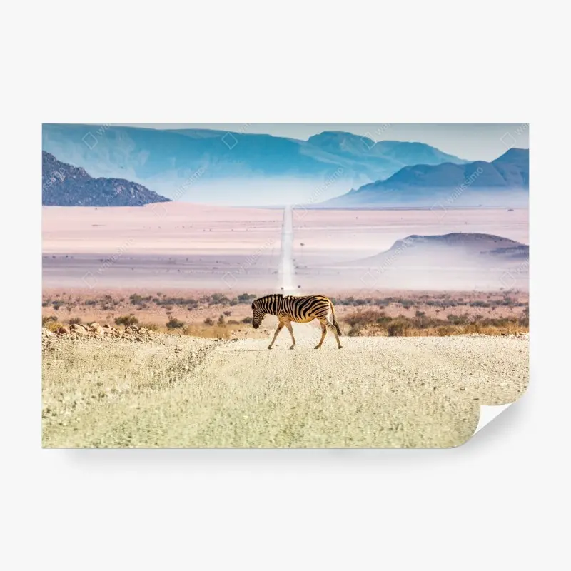 Fototapete zebra auf der wüstenstraße