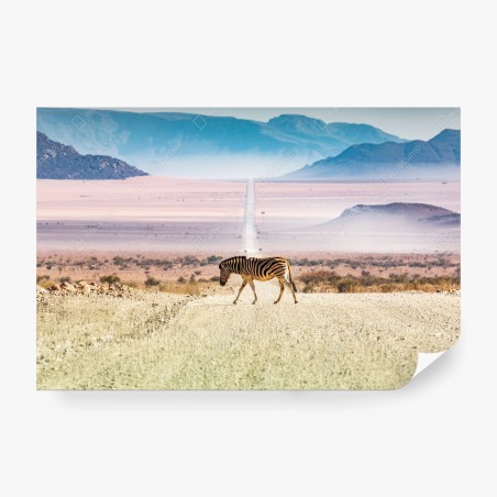 Fototapete zebra auf der wüstenstraße – Pixers®