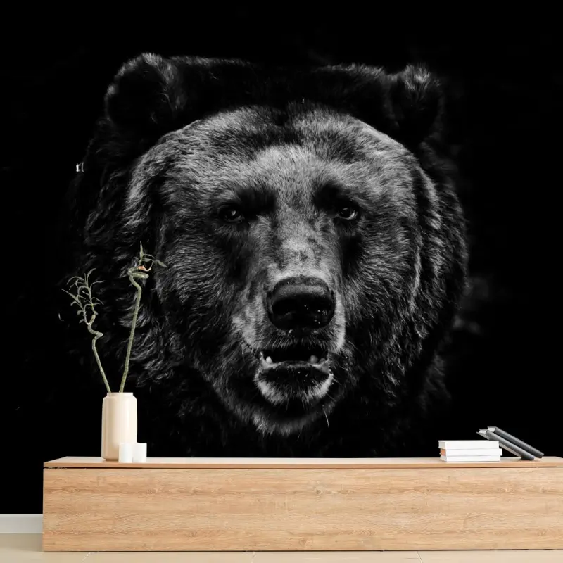 Fototapete düsteres grizzly-porträt in monochrom