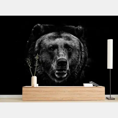 Fototapete düsteres grizzly-porträt in monochrom – Pixers®