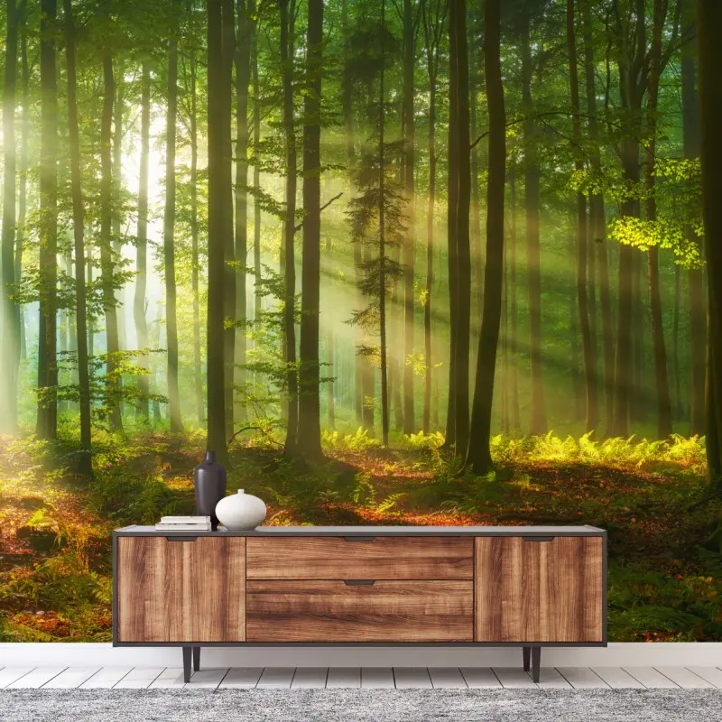 Fototapete morgendliches licht im grünen wald