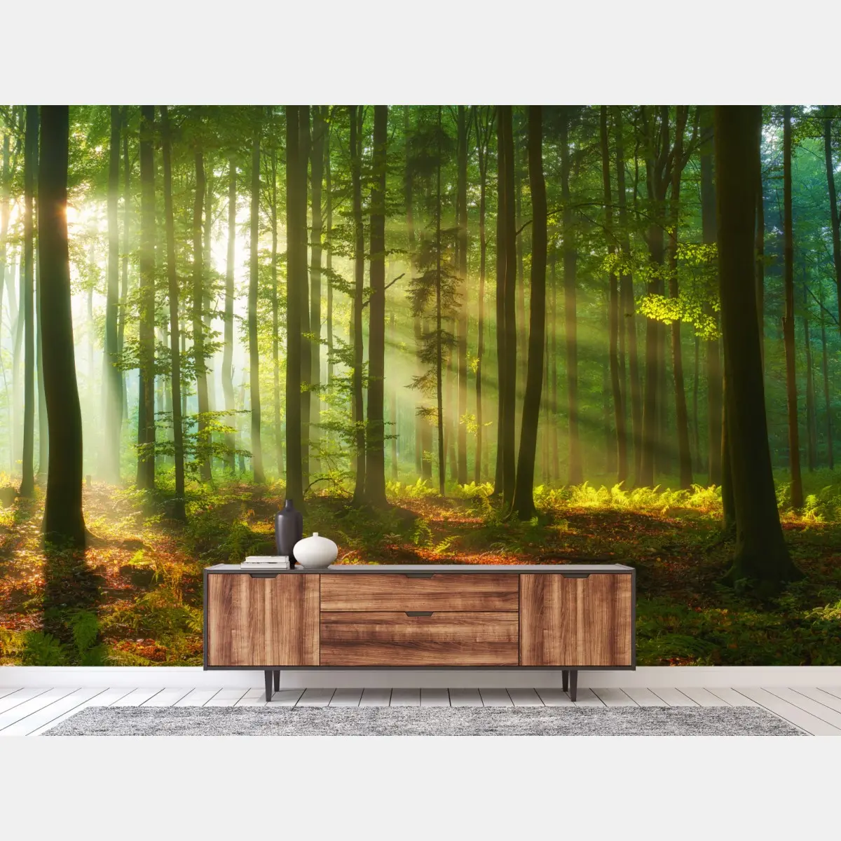 Fototapete morgendliches licht im grünen wald – Pixers®