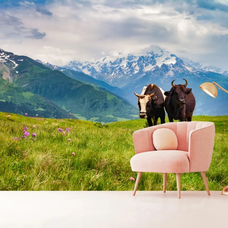 Fototapete alpenwiese mit grastenden kühen