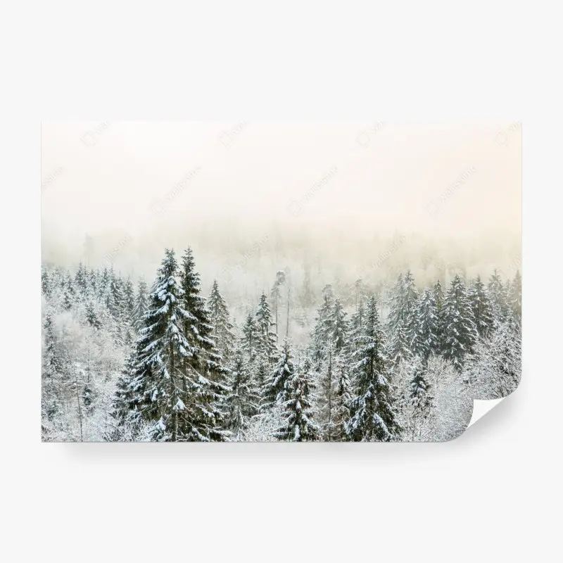 Fototapete verschneiter wald im sanften nebel