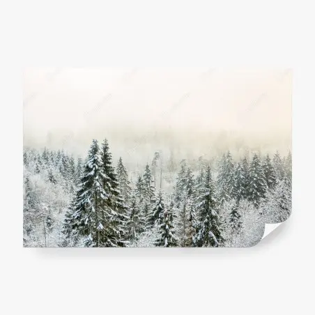Fototapete verschneiter wald im sanften nebel – Pixers®