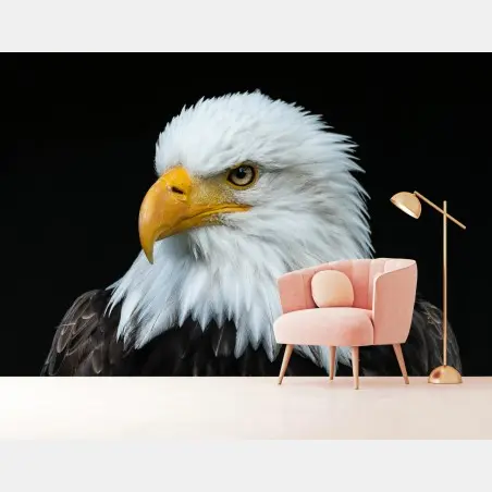 Fototapete majestätisches porträt eines weißkopfseeadlers – Pixers®
